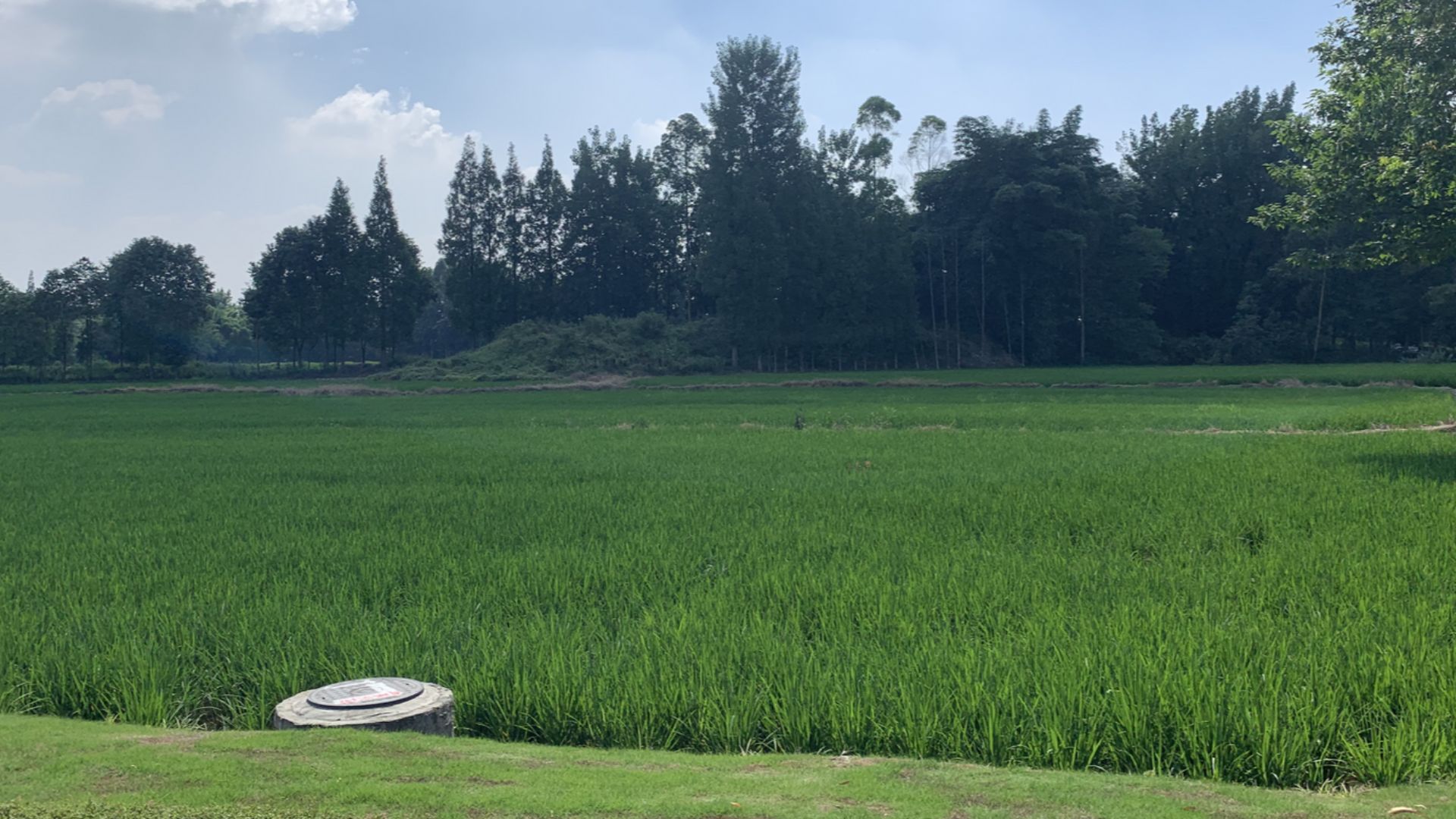 File:Baodun Wall Remain.png
