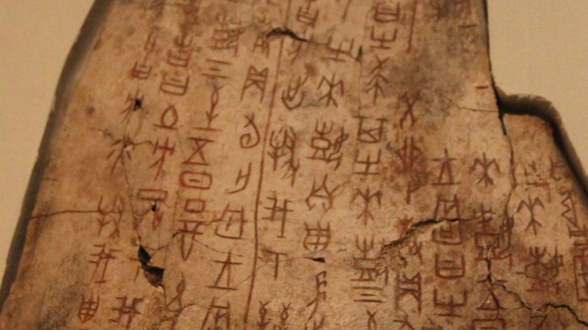 File:Shang Inscribed Ox Scapula (for divination).jpg