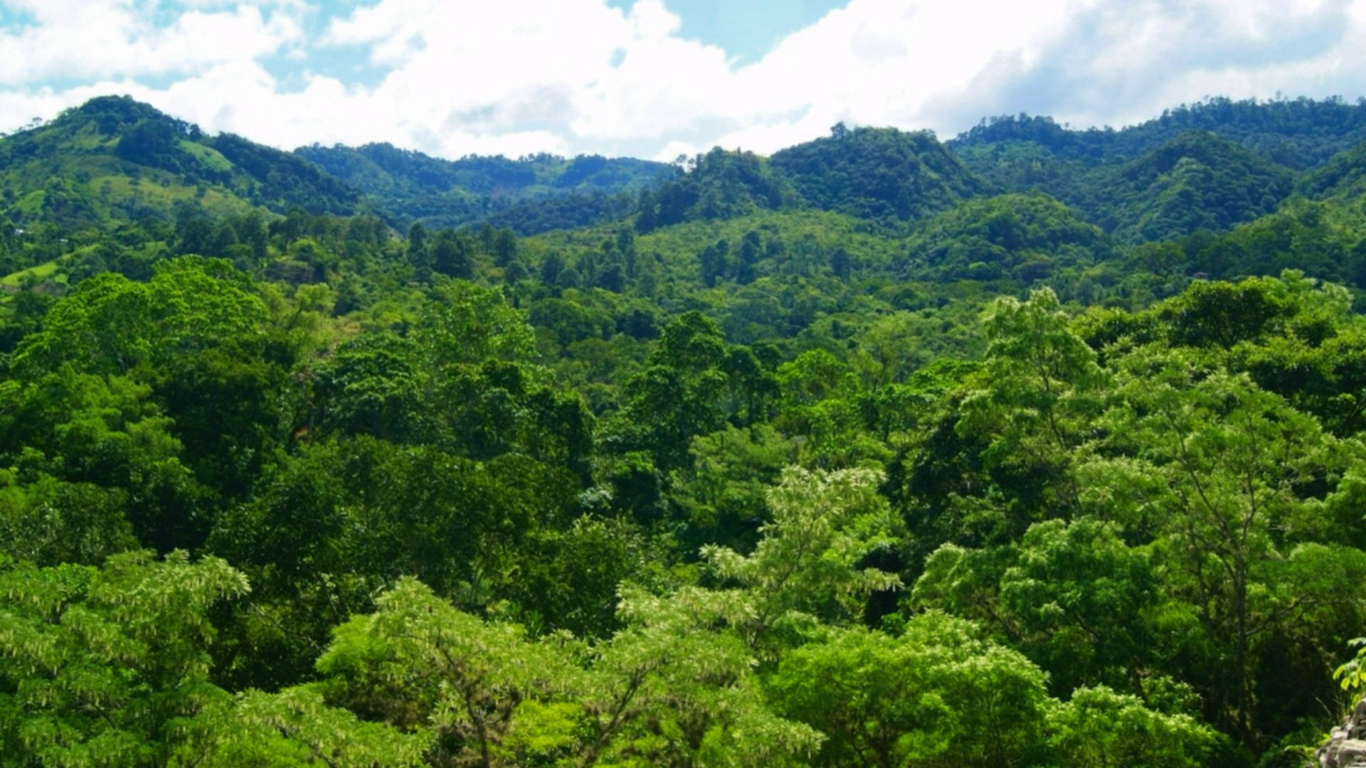 File:Mayan View I (129964277).jpeg