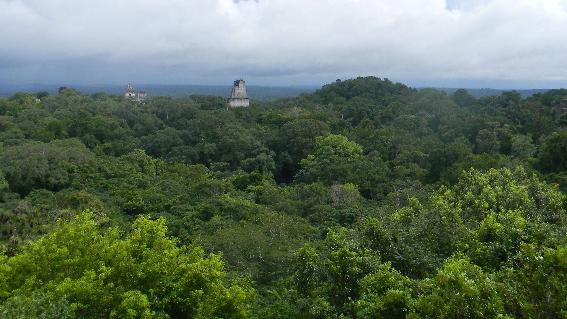 File:Tikal, Guatemala Laslovarga62.JPG
