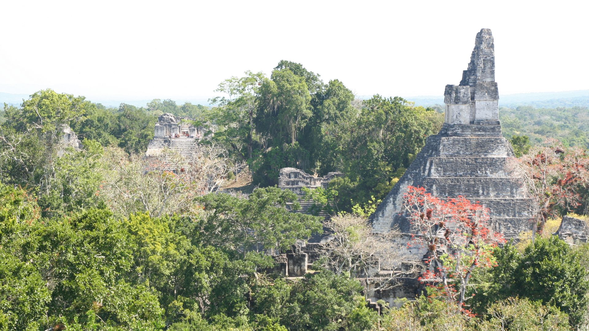 File:Overview Tikal.jpg