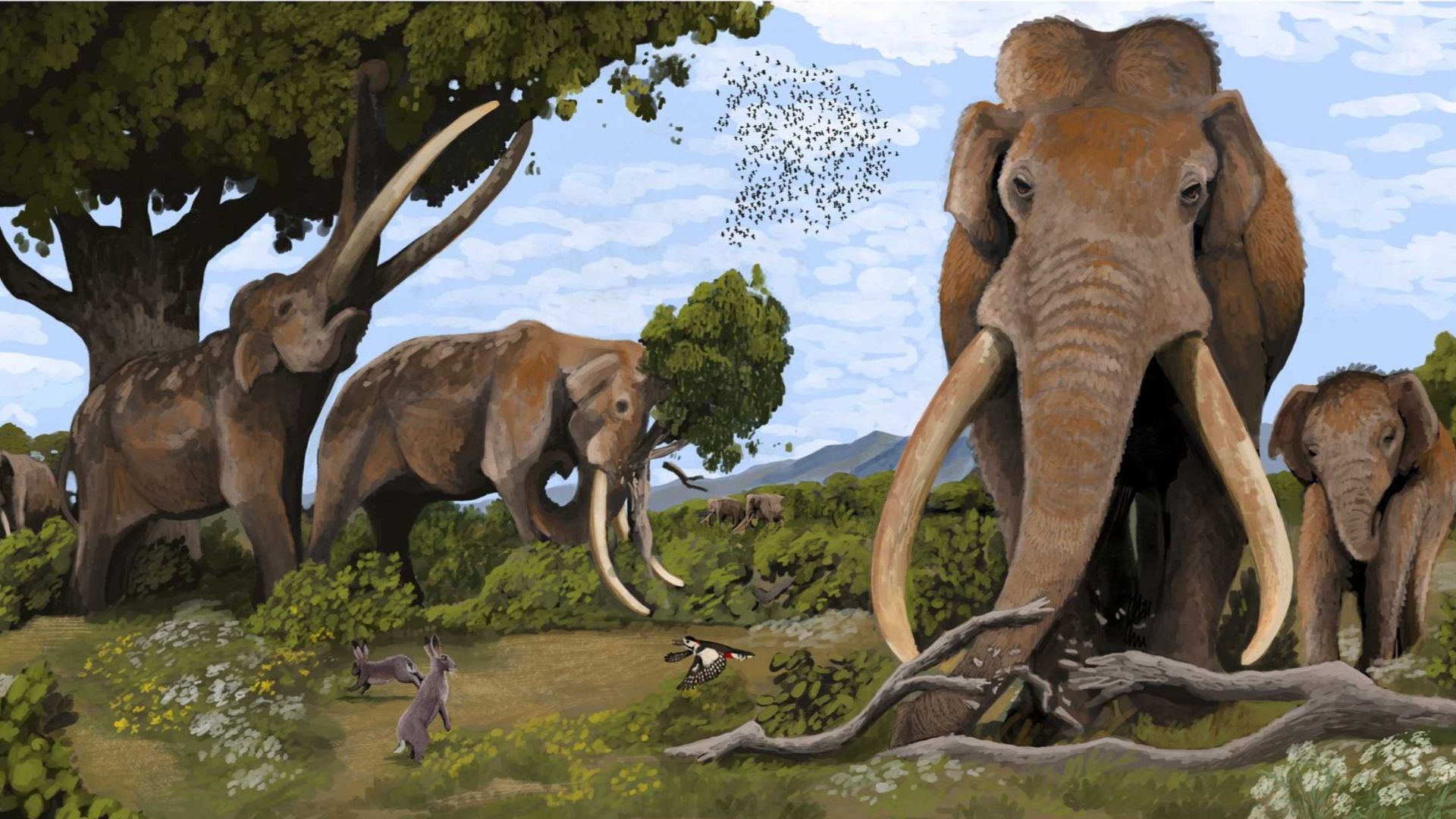 File:Megafauna influence on European vegetation (cropped).jpg