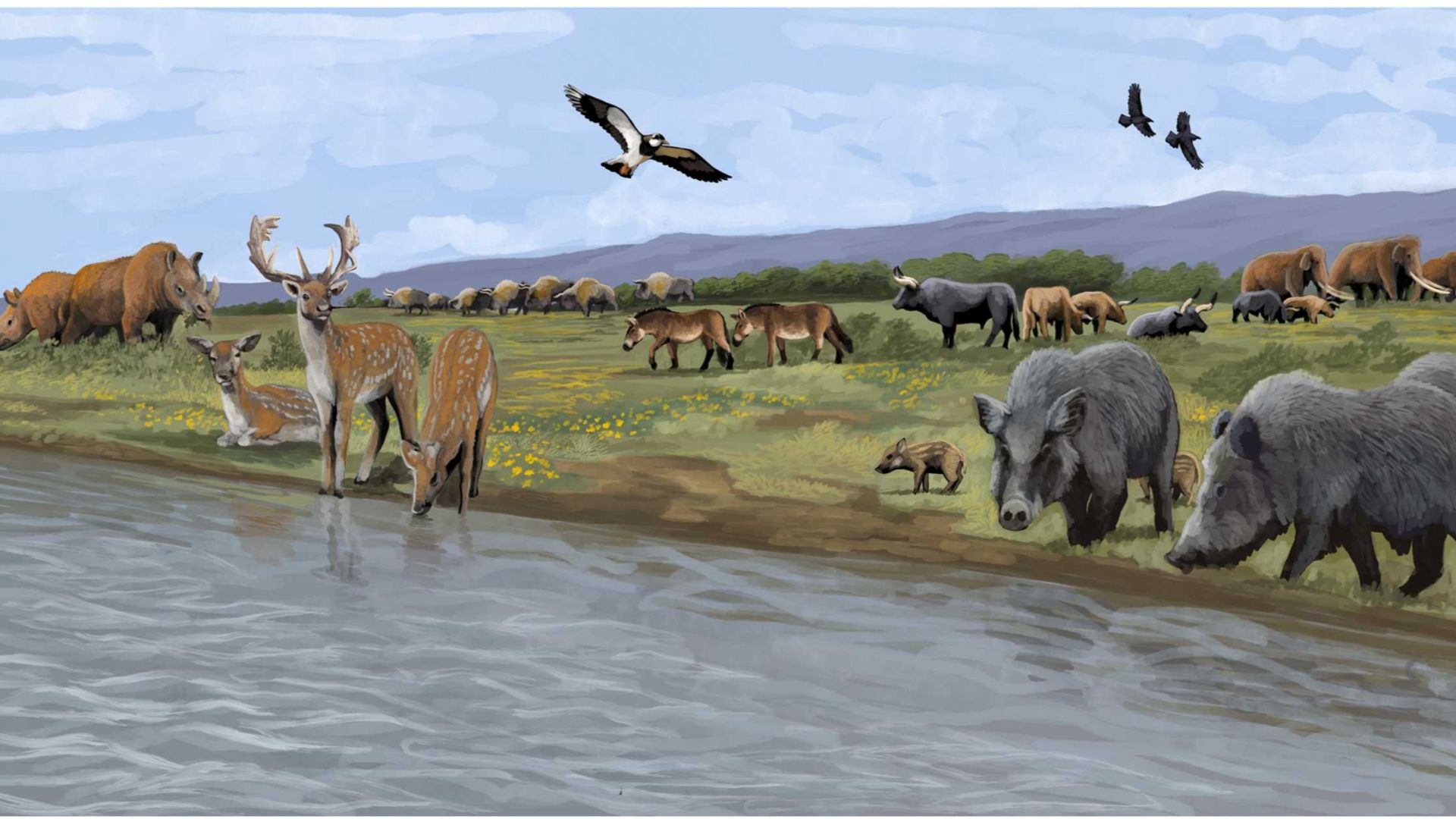 File:European Last Interglacial landscapes (cropped).jpg