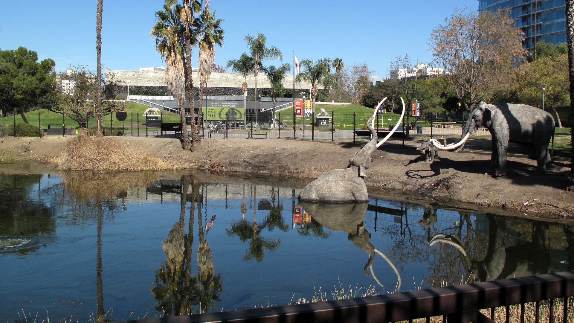 File:La Brea Tar Pits January 2021.jpg