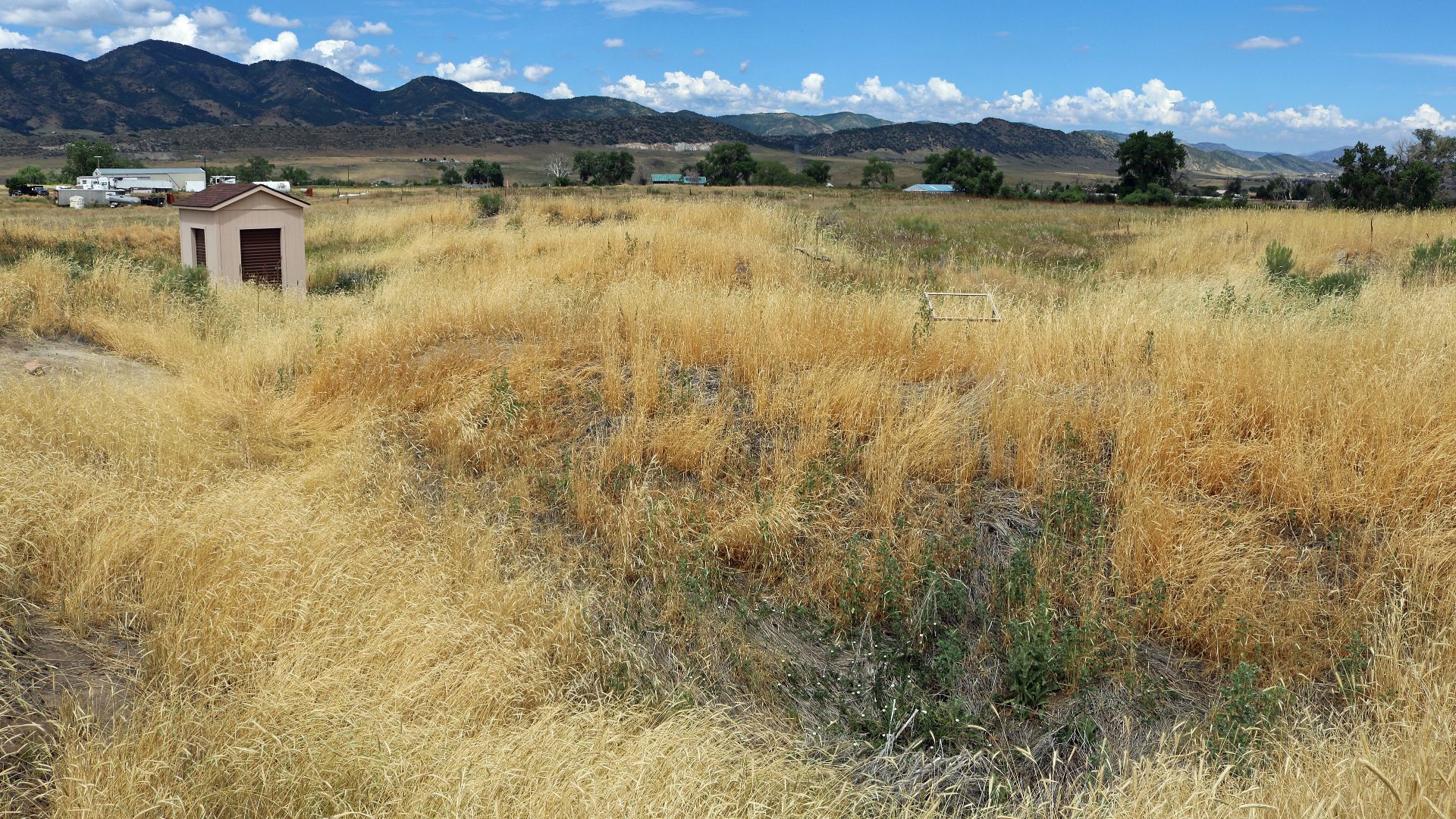 File:Lamb Spring Site.JPG