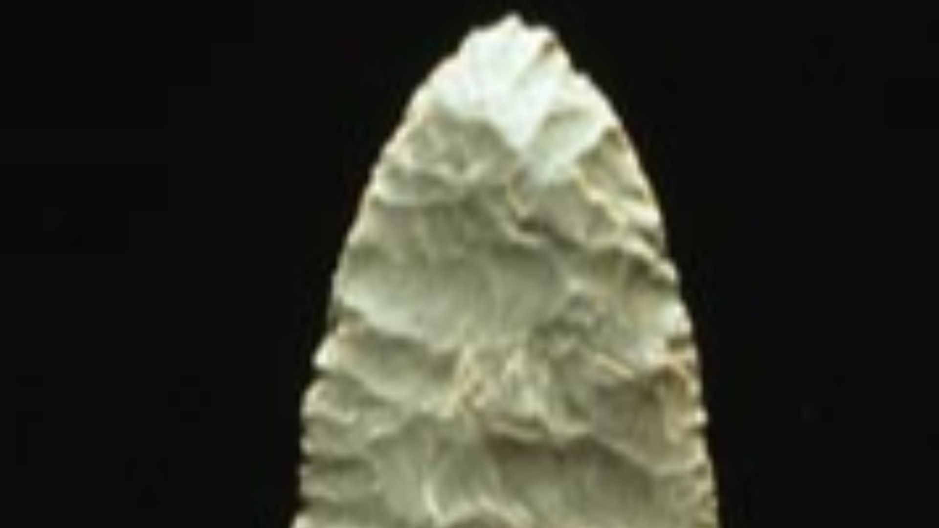 File:Clovis Point.jpg