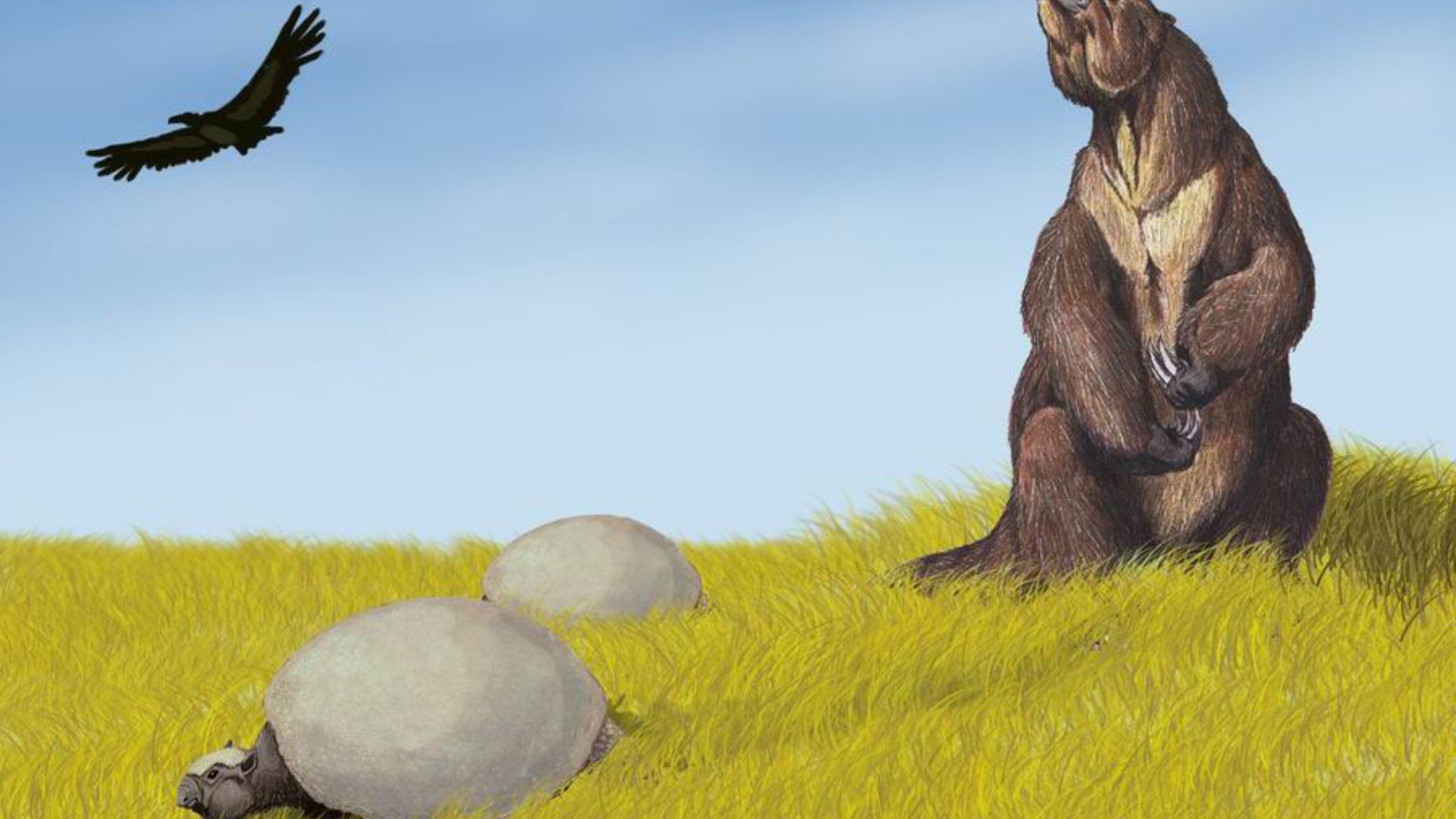 File:Pleistocene SA.jpg