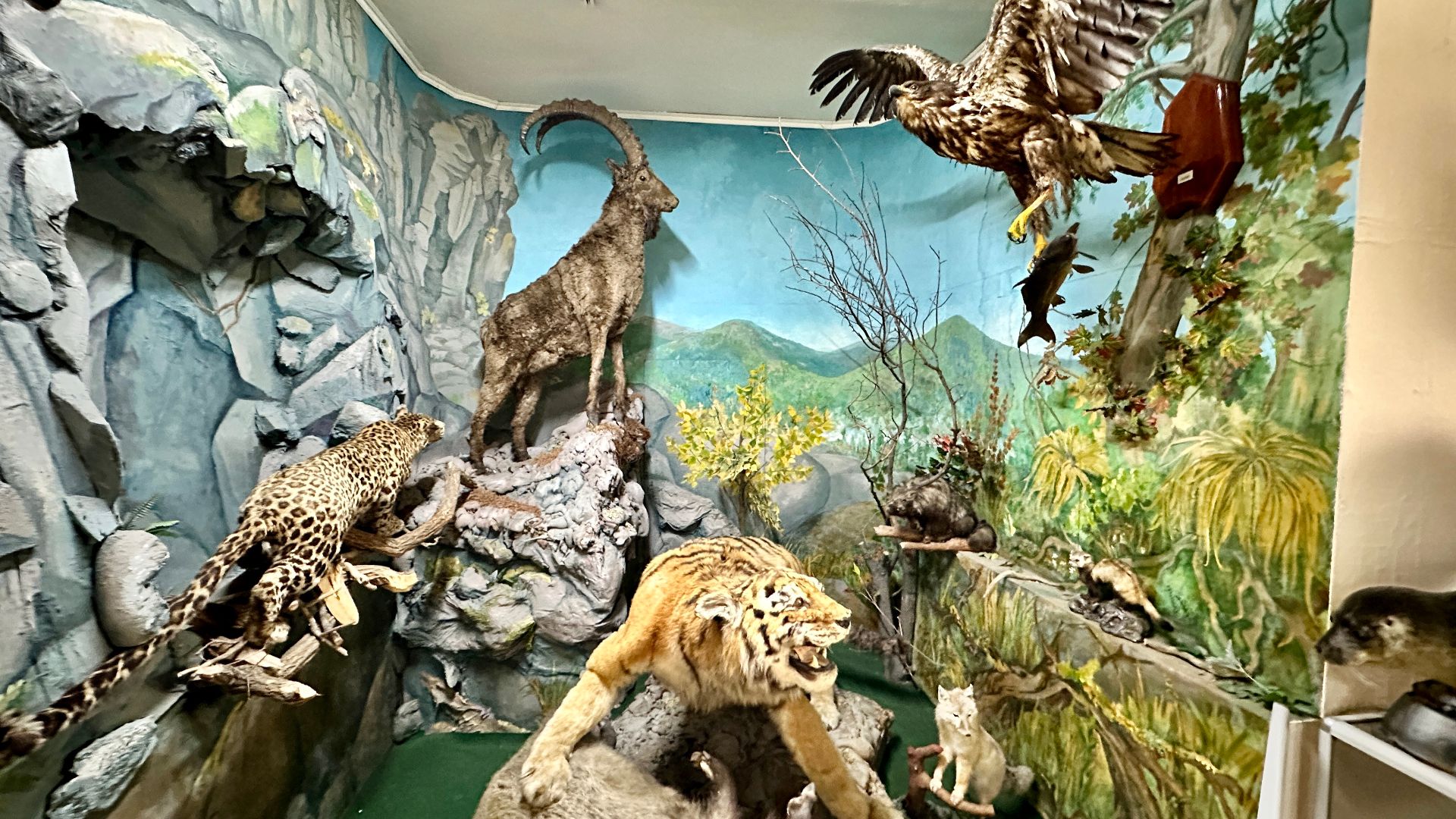 File:Museum of Archeology, Ethnography and Ecology of the Siberia - 34.jpg