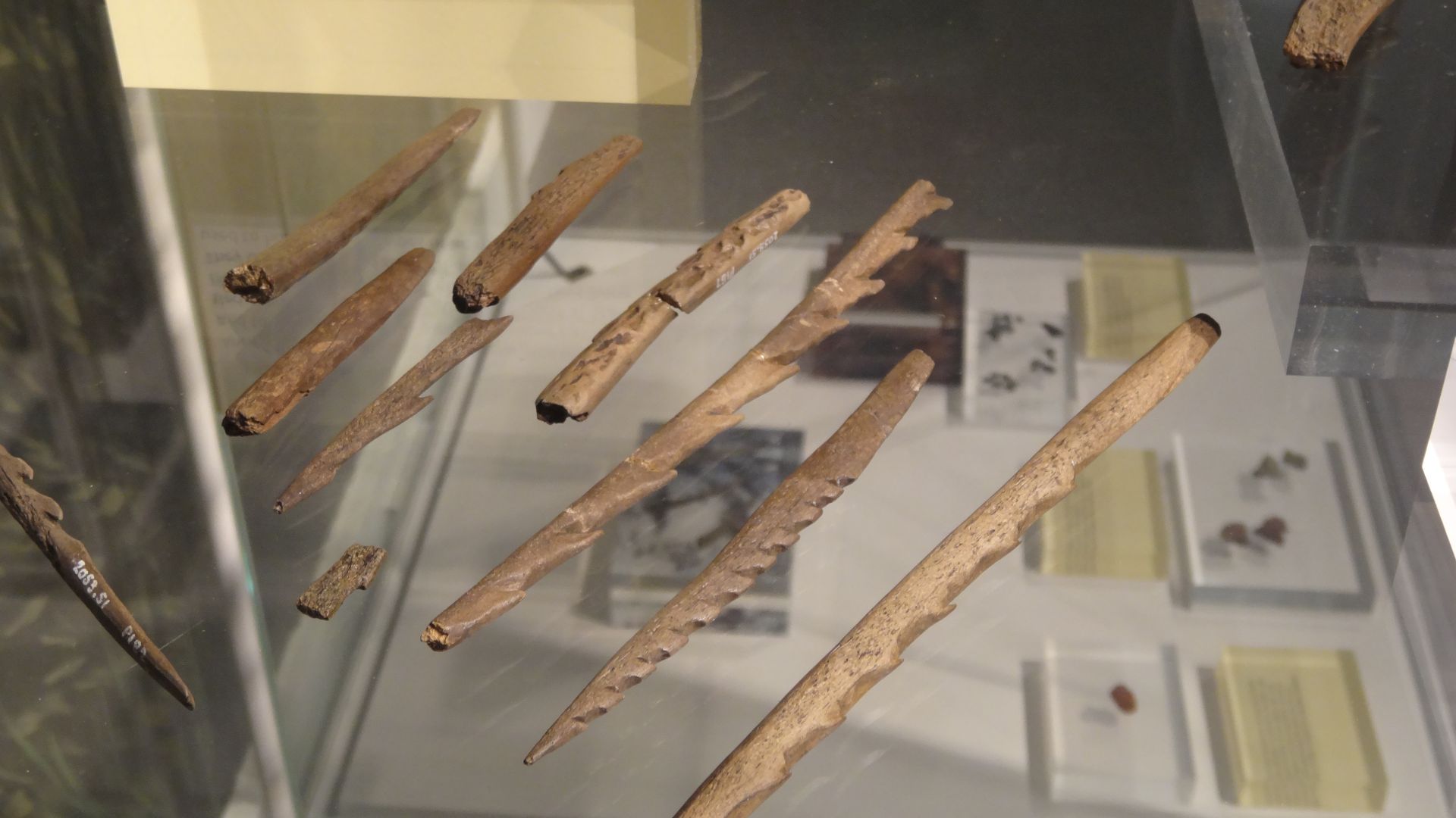 File:Star Carr spear tips 01.jpg