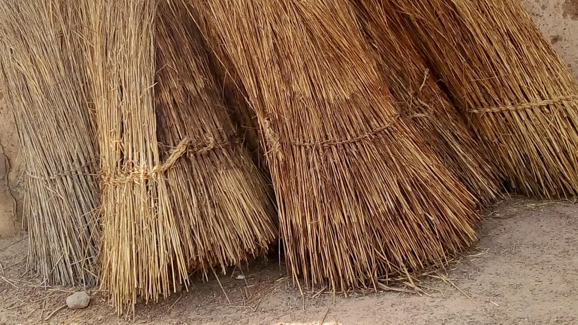File:A Thatch.jpg
