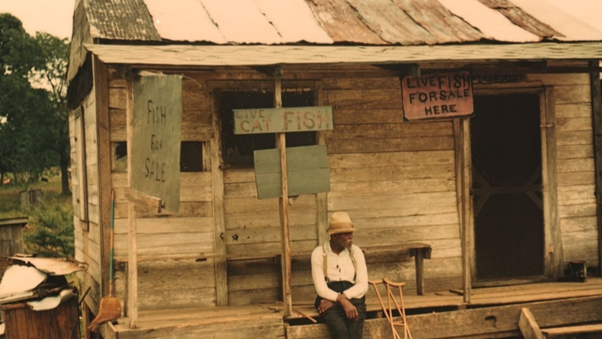 File:A store with live fish for sale1a34367v.jpg