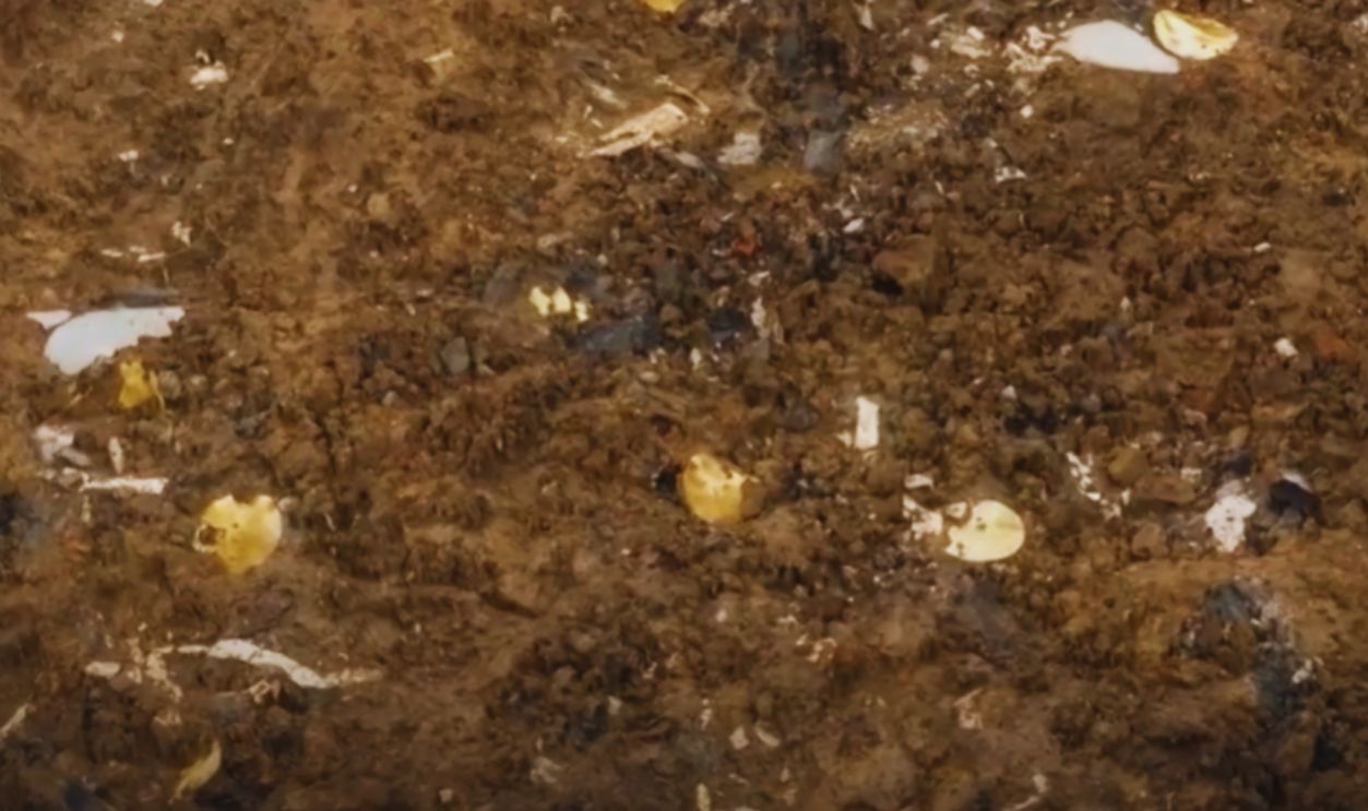 Sanxingdui Sacrificial Pits