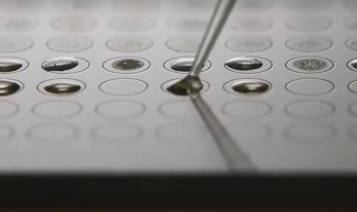 Scientific Breakthrough (Cont.)