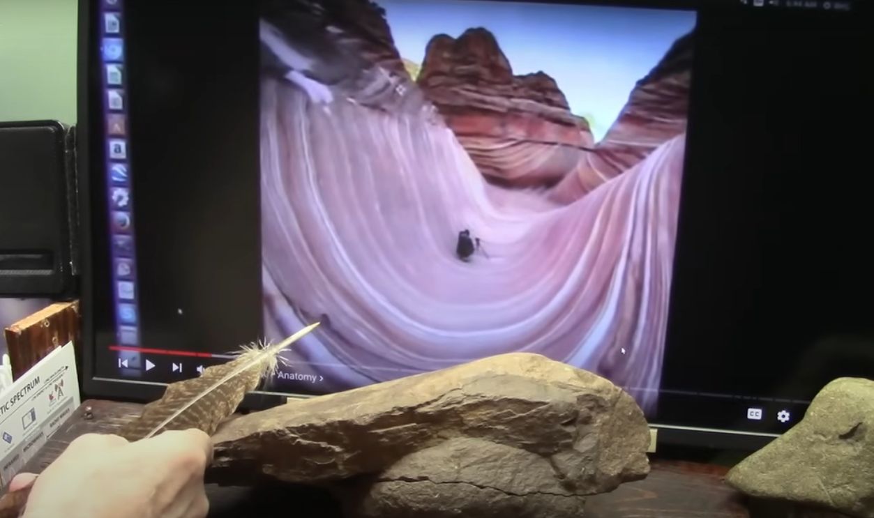 Untitled Design - 2025-05-29T151241.893