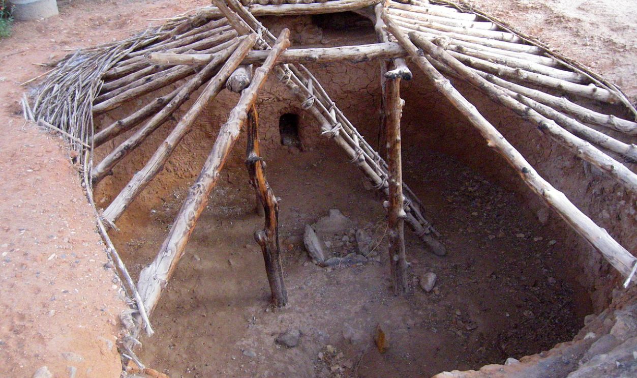 The Entire Design Screams Evolution