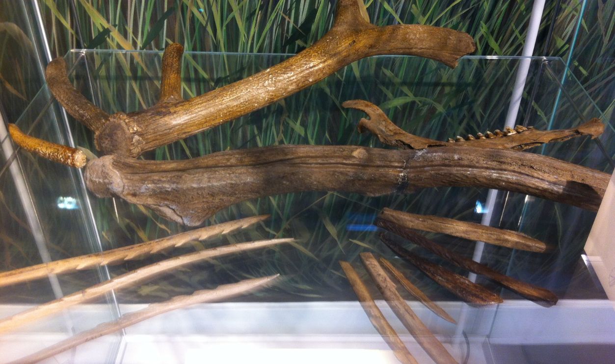 Howick’s Life Was Anything But Temporary