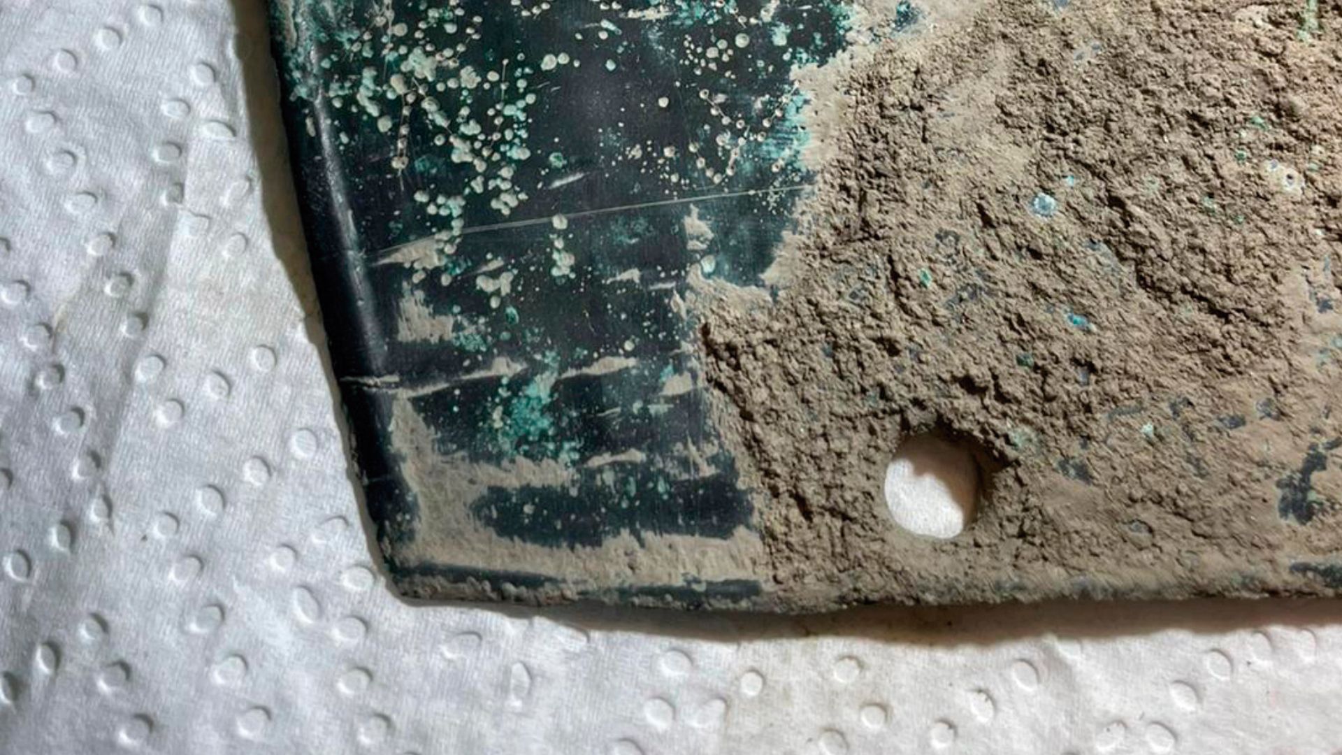 Hand of the Region - Image gallery of the Government of Navarre 19