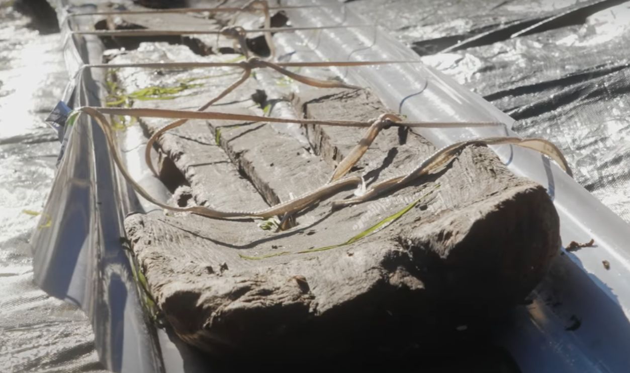 A Local Discovery With Global Reverberations