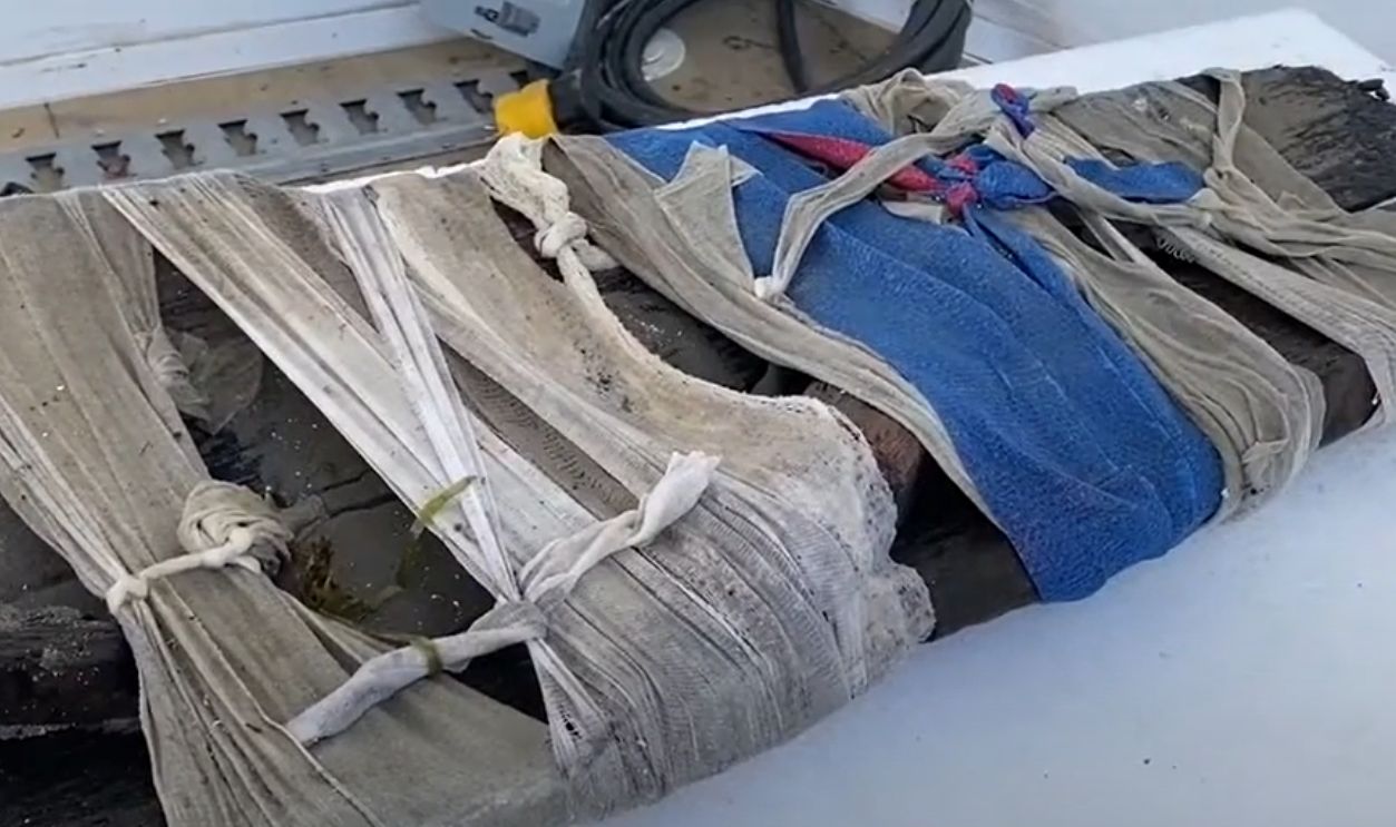 Eleven Canoes Resting Where Time Forgot