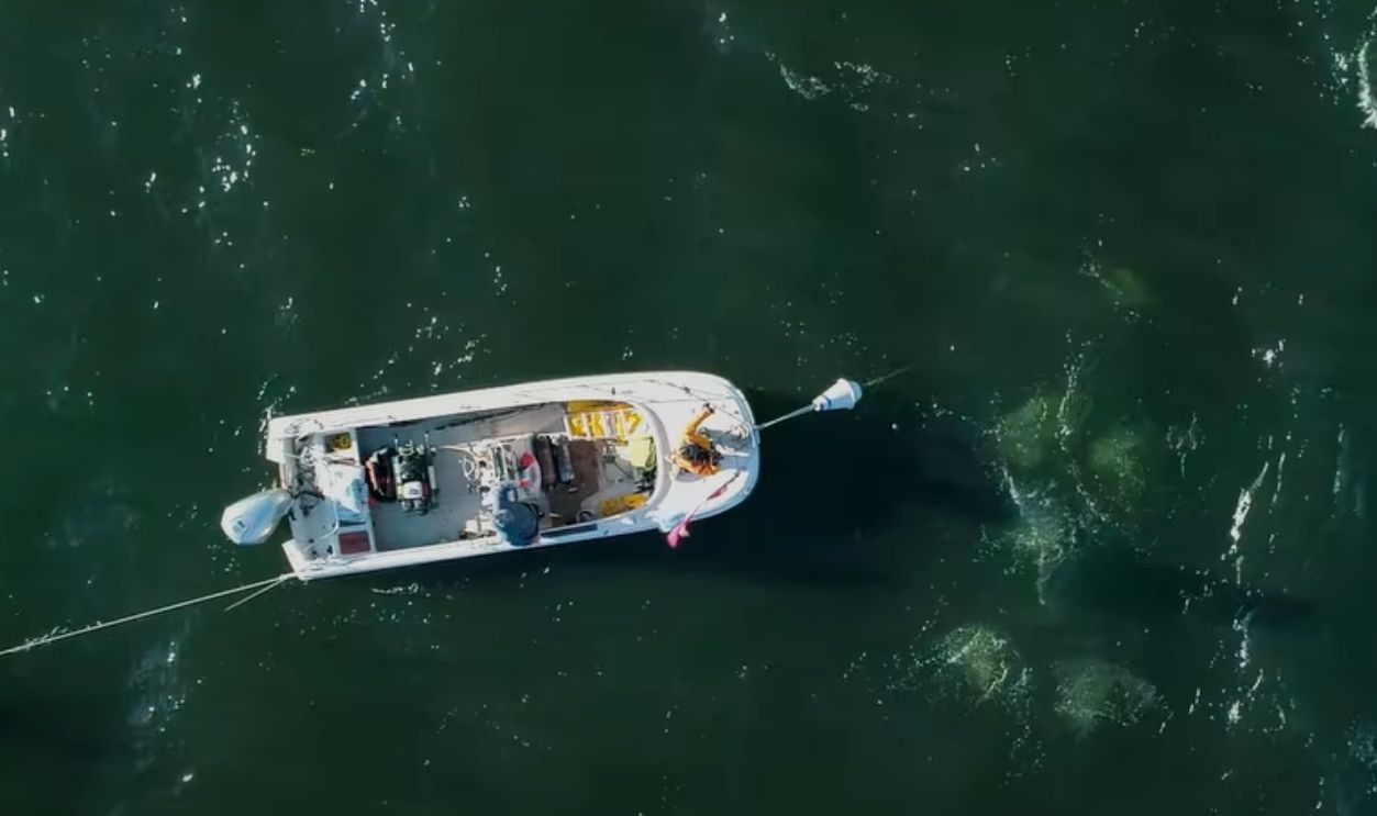 Functional Tools Or Ceremonial Artifacts?