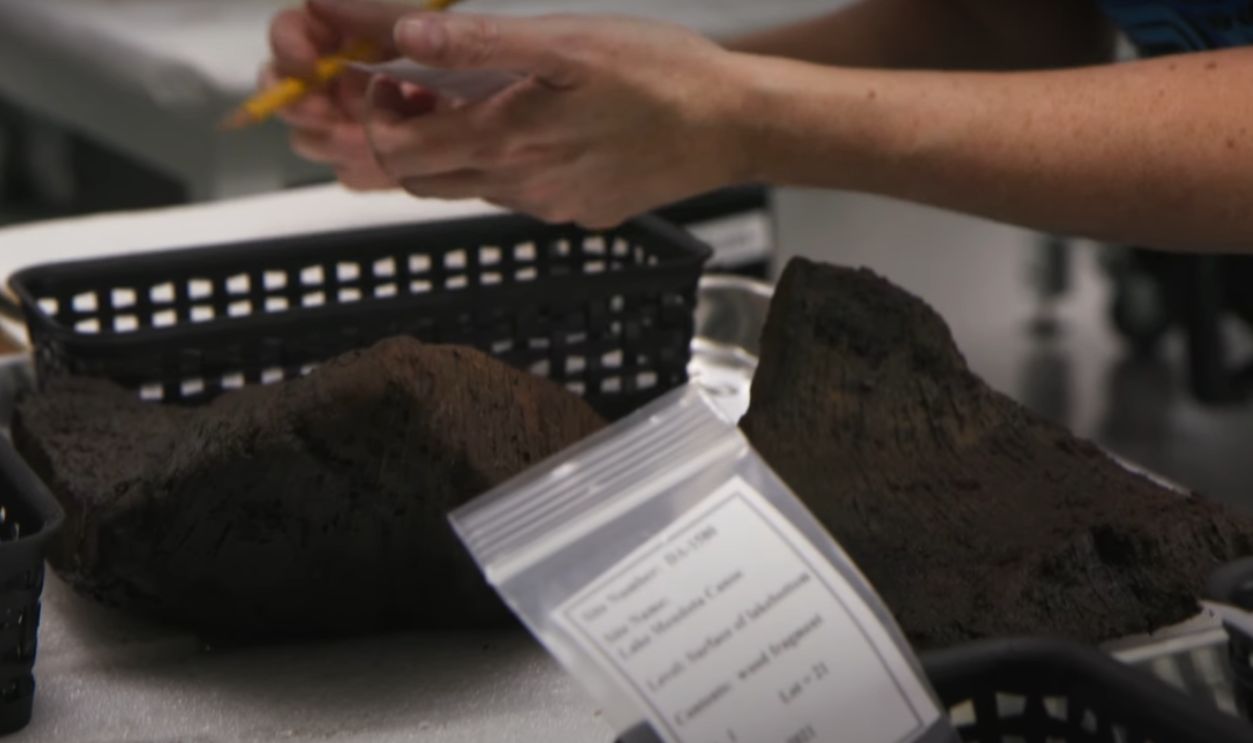 When Preservation Becomes A Race Against Time