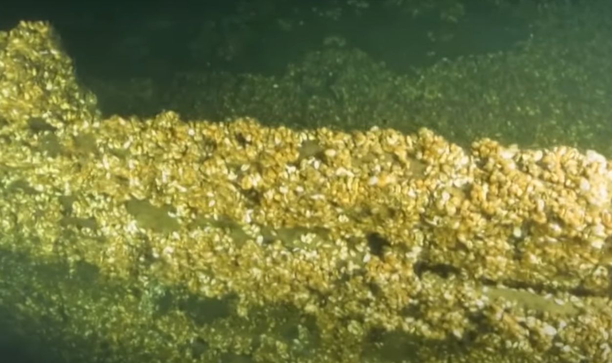 A Travel Network Buried In Mud