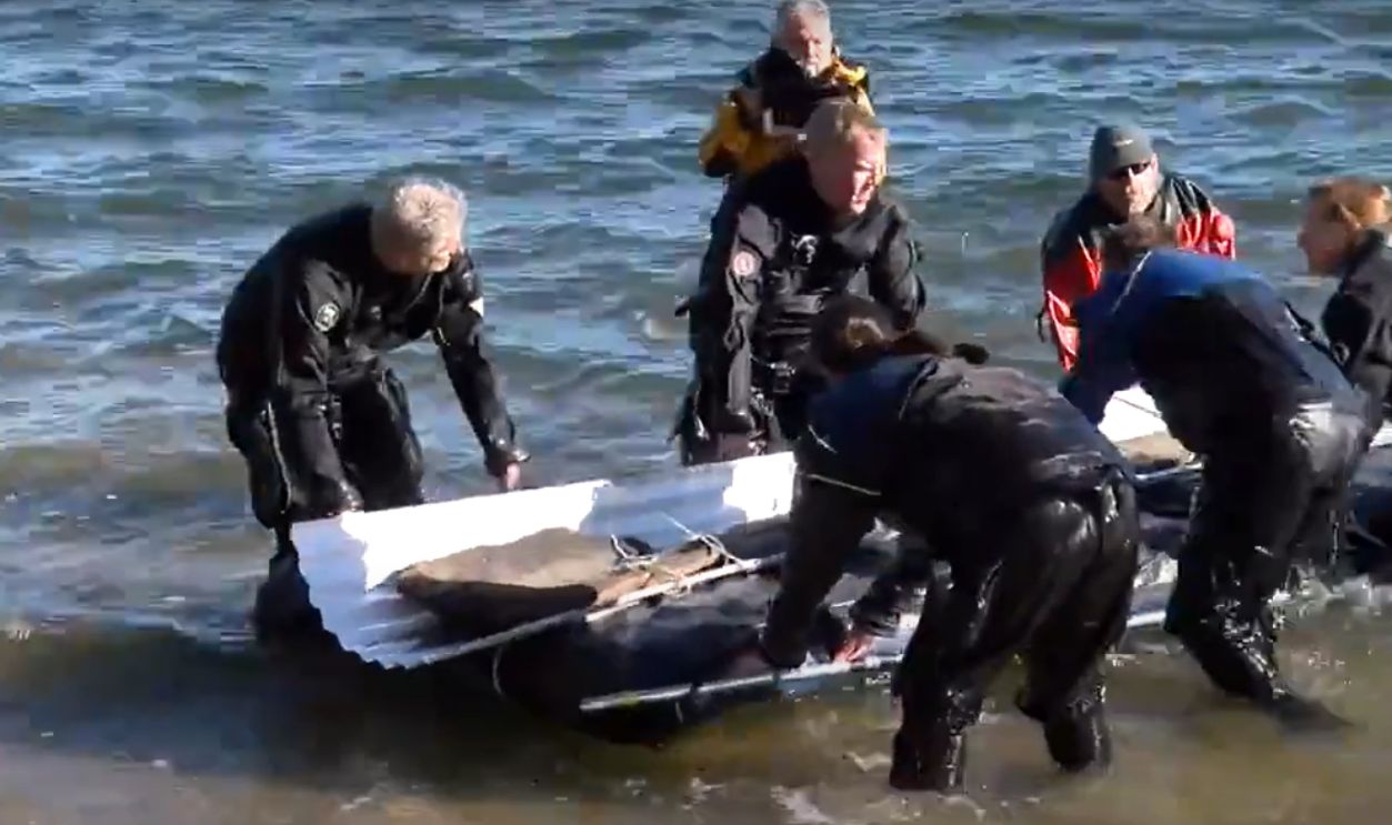 Then Came Another Even Older Still