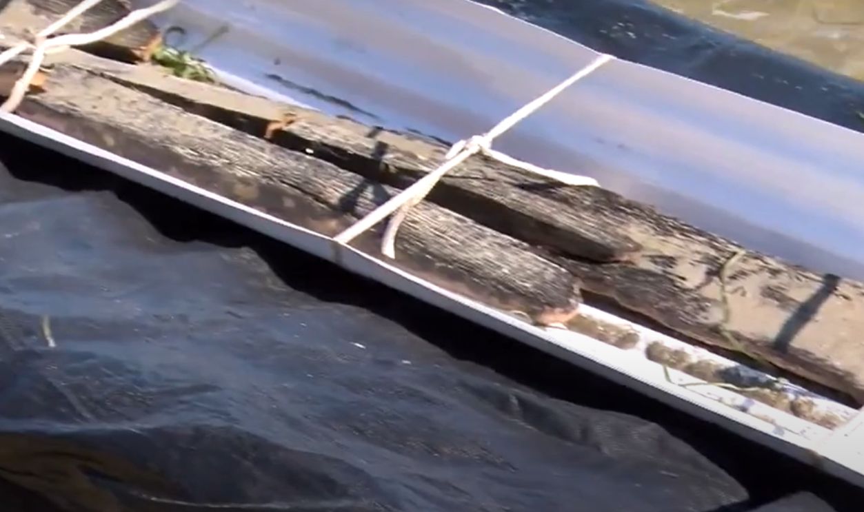 A 3,000-Year-Old Canoe Stuns The Archaeological World