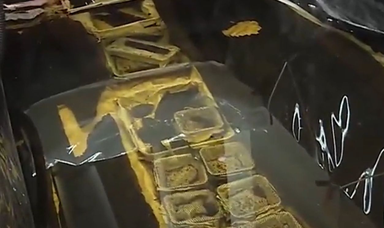 How Scientists Freeze The Past To Save It