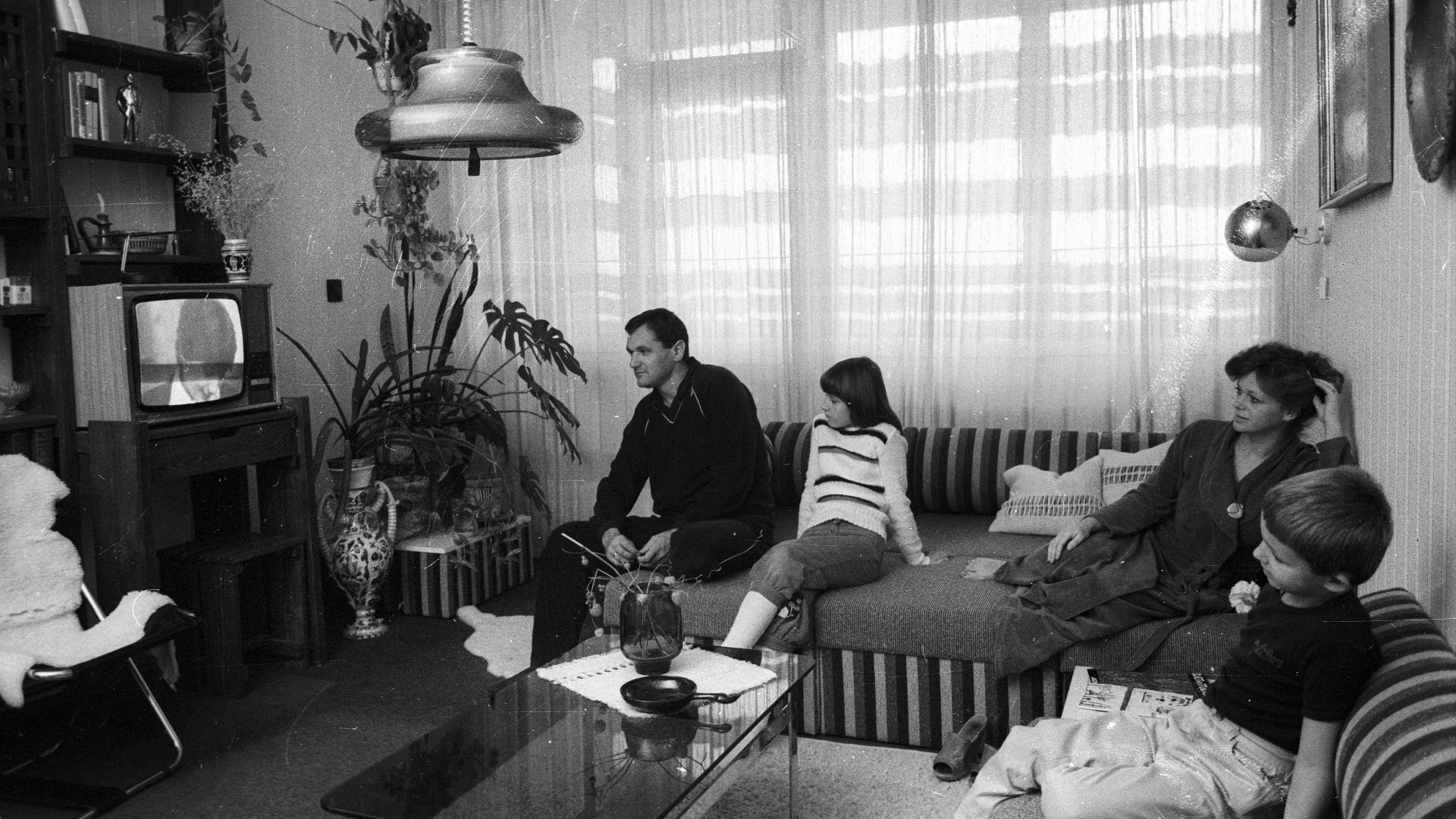 File:Living room, interior, TV, family, mother, flower, vase, light Fortepan 60523.jpg