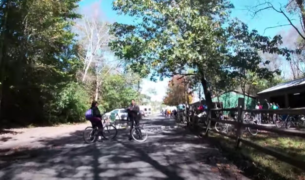 Bike Rental Stations