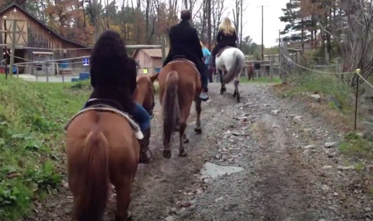 Horseback Rides With Pocono Panoramas