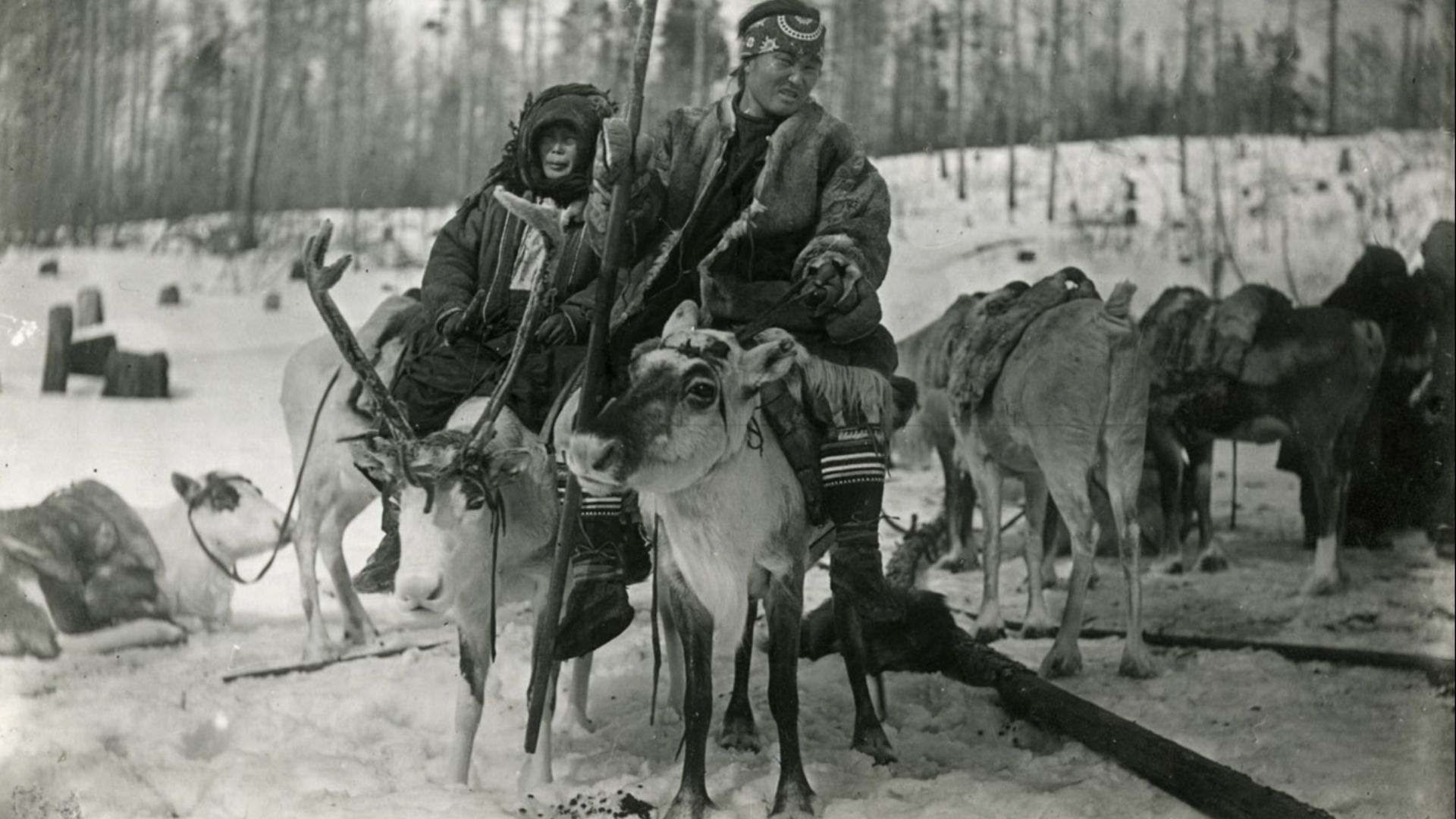 File:Evenki family riding reindeer - 1907.jpg