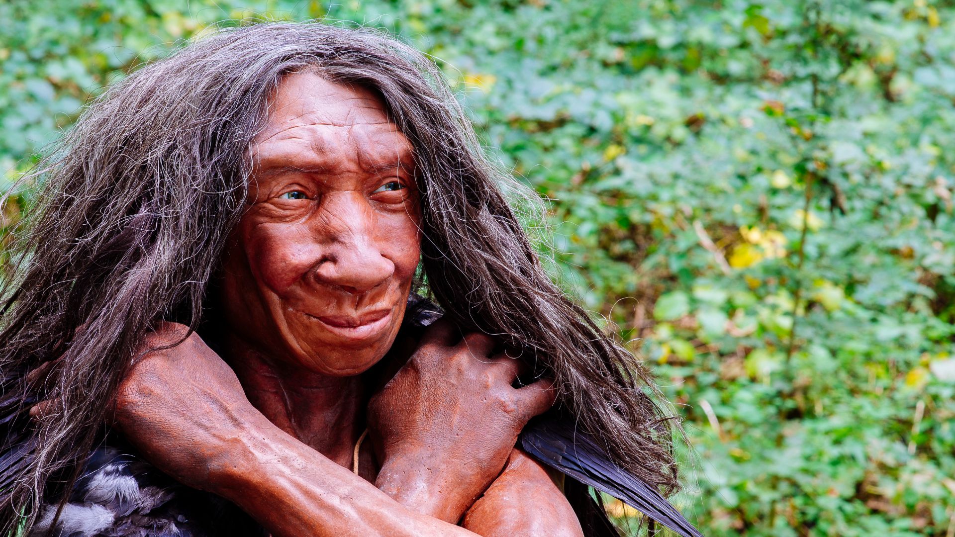 File:Homo sapiens neanderthalensis (Fundort Gibraltar).jpg