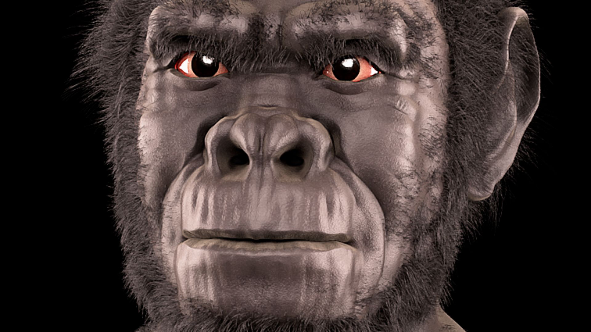 File:Homo habilis - forensic facial reconstruction.png