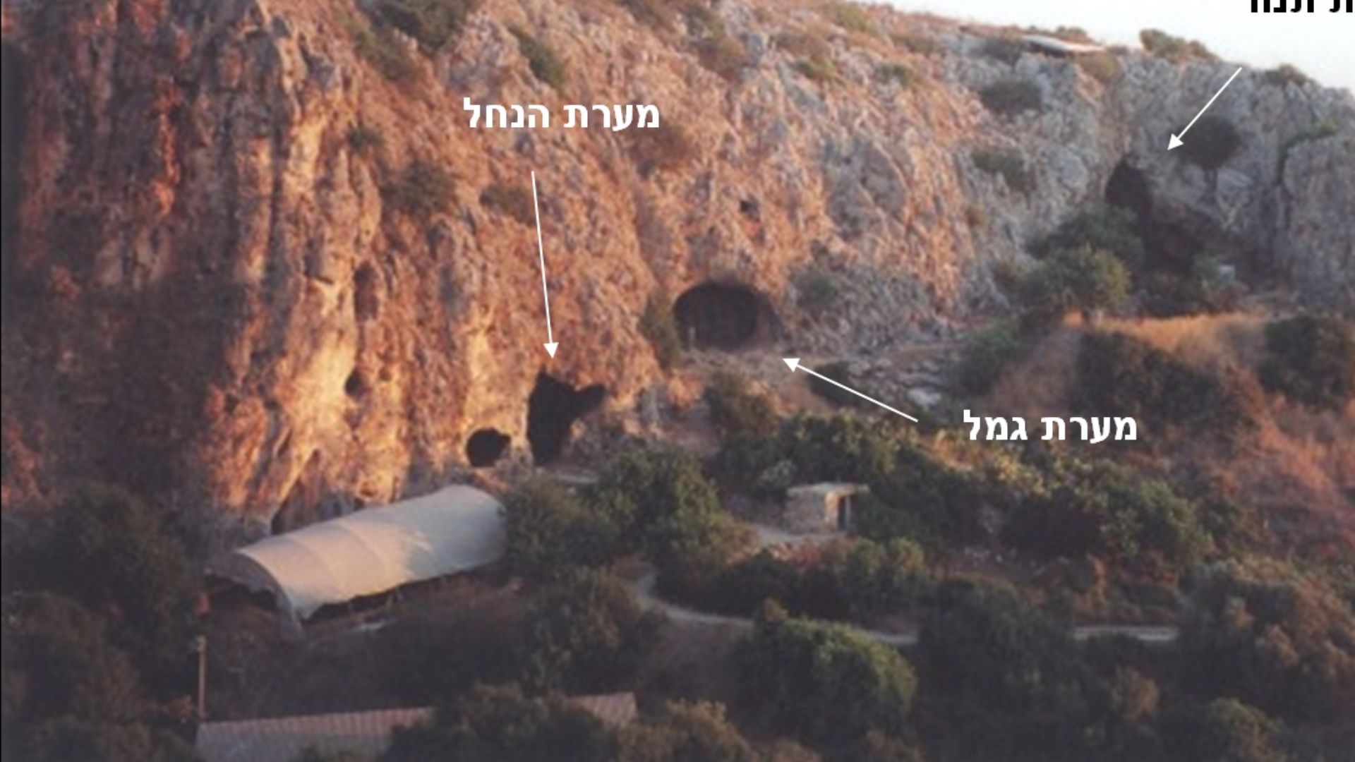 File:Tabun-jamal-elWad caves.jpg