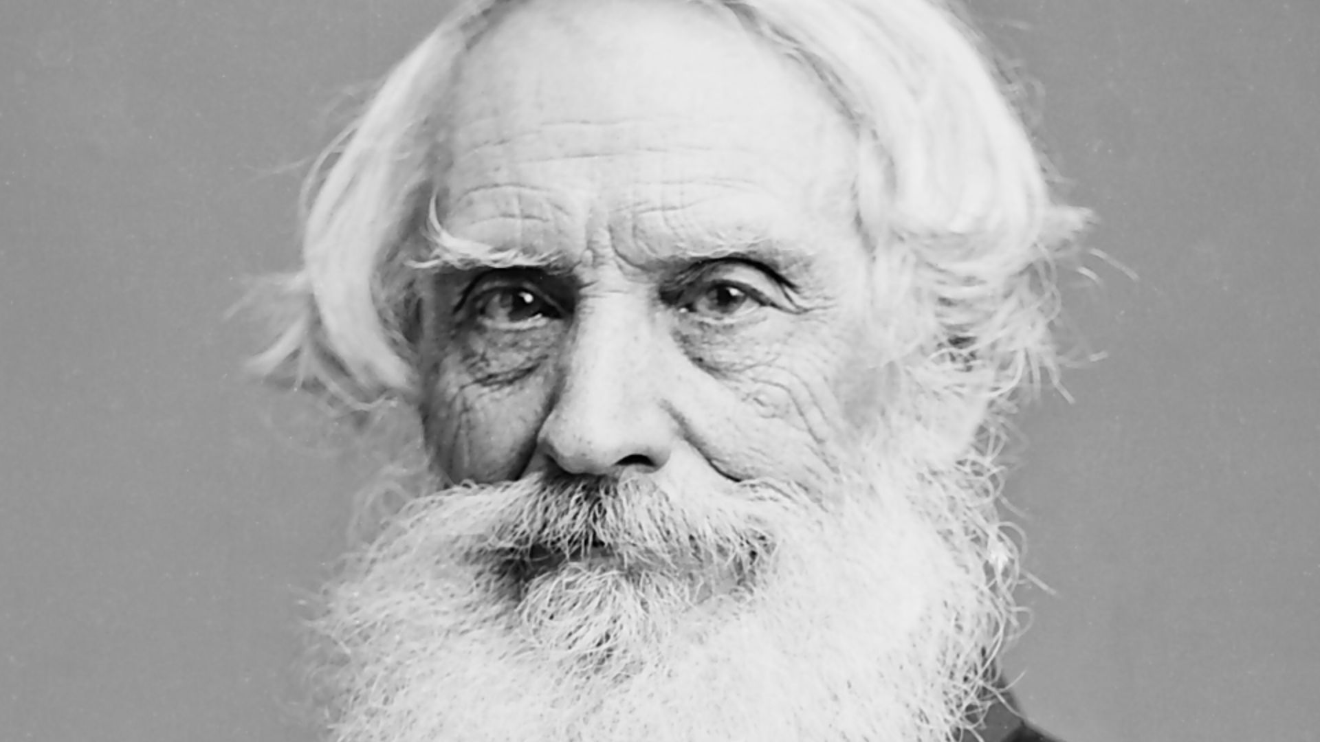 File:Samuel Morse.jpg