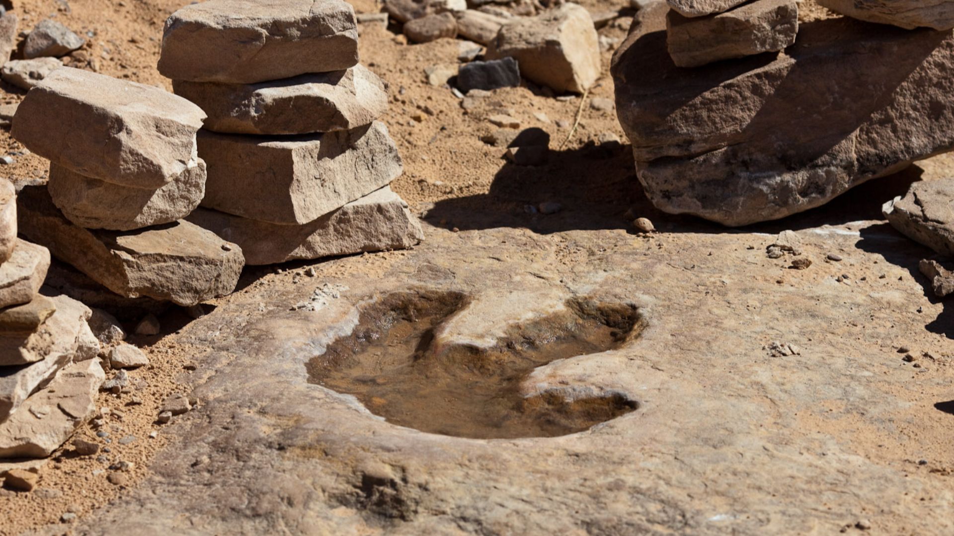 File:Dinosaur footprint (4056320716).jpg