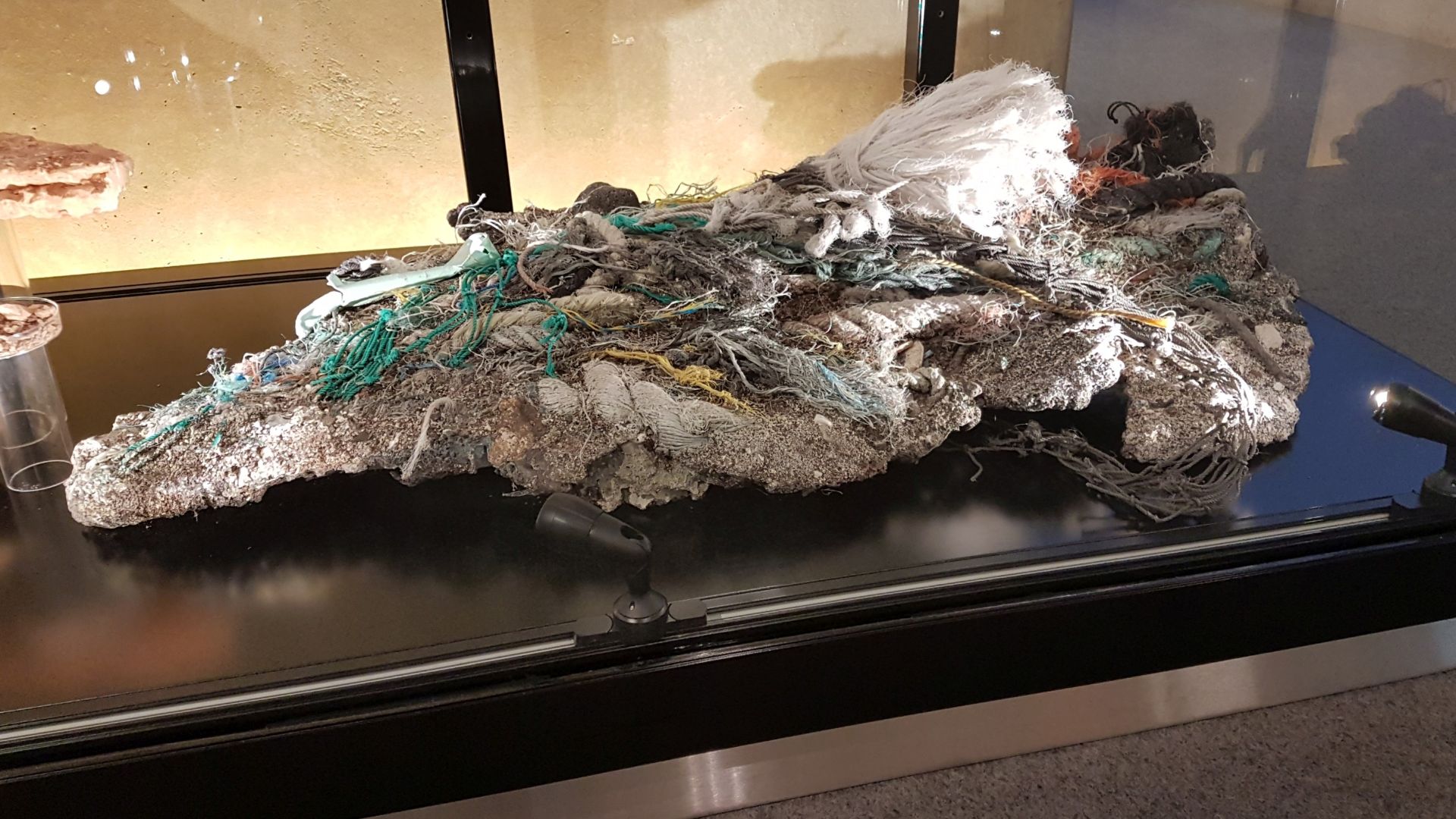 File:Plastiglomerate Museon.jpg