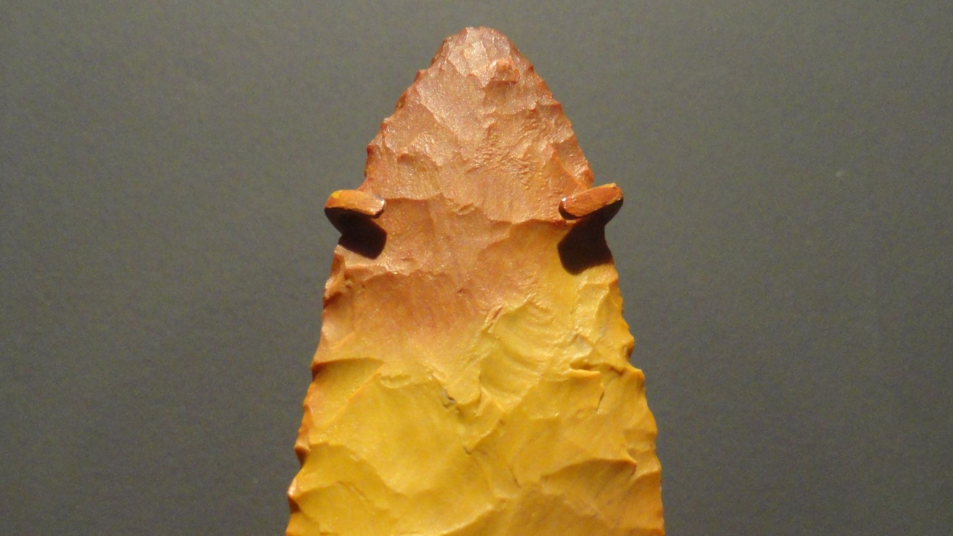 File:Clovis point, 11500-9000 BC, Sevier County, Utah, chert - Natural History Museum of Utah - DSC07376.JPG