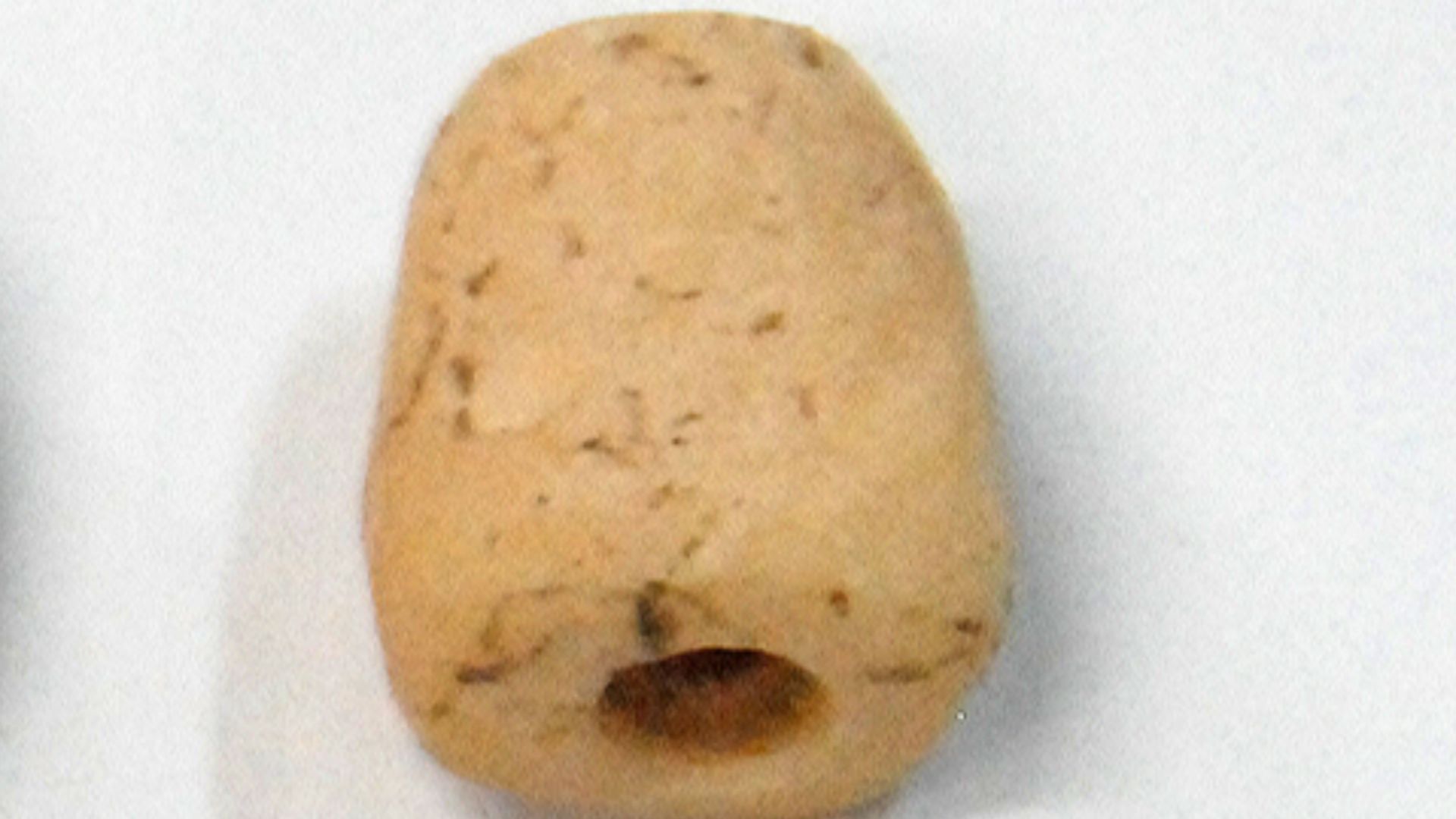 File:Drilled shell and bone and seed beads from the Lapita site at Bourewa in Fiji.jpg