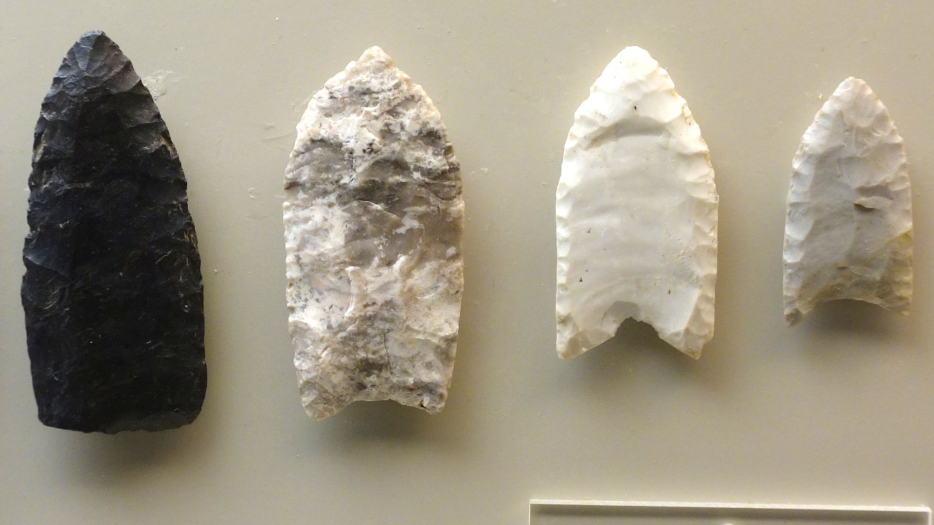 File:Spear tips (fluted), Late Paleo Early Archaic Indians, 8000-6000 BC, stone - Wisconsin Historical Museum - DSC03426.JPG