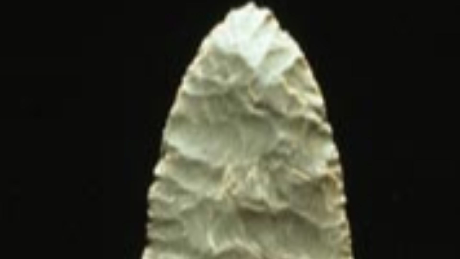 File:Clovis Point.jpg