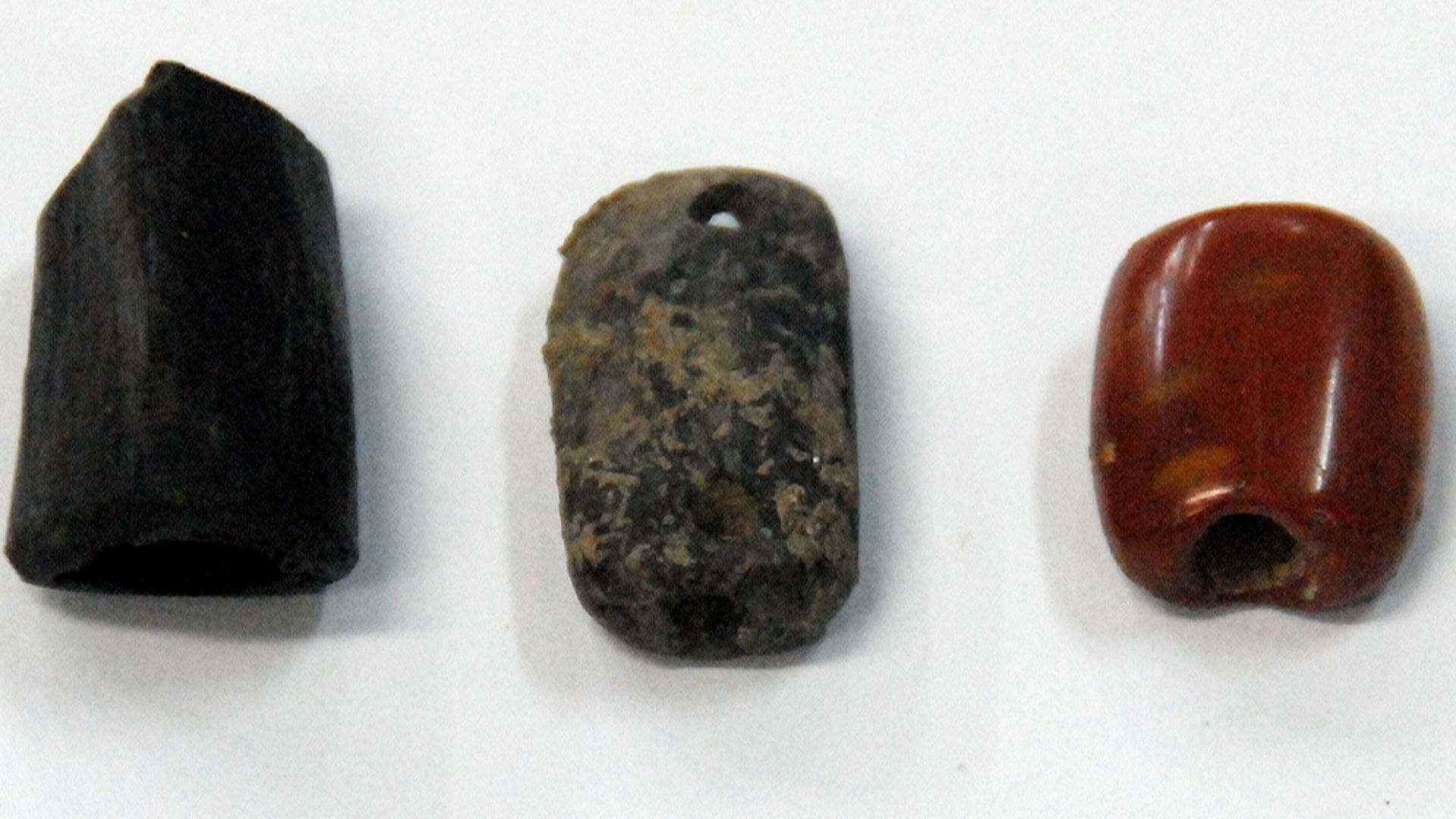 File:Drilled shell and bone and seed beads from the Lapita site at Bourewa in Fiji.jpg