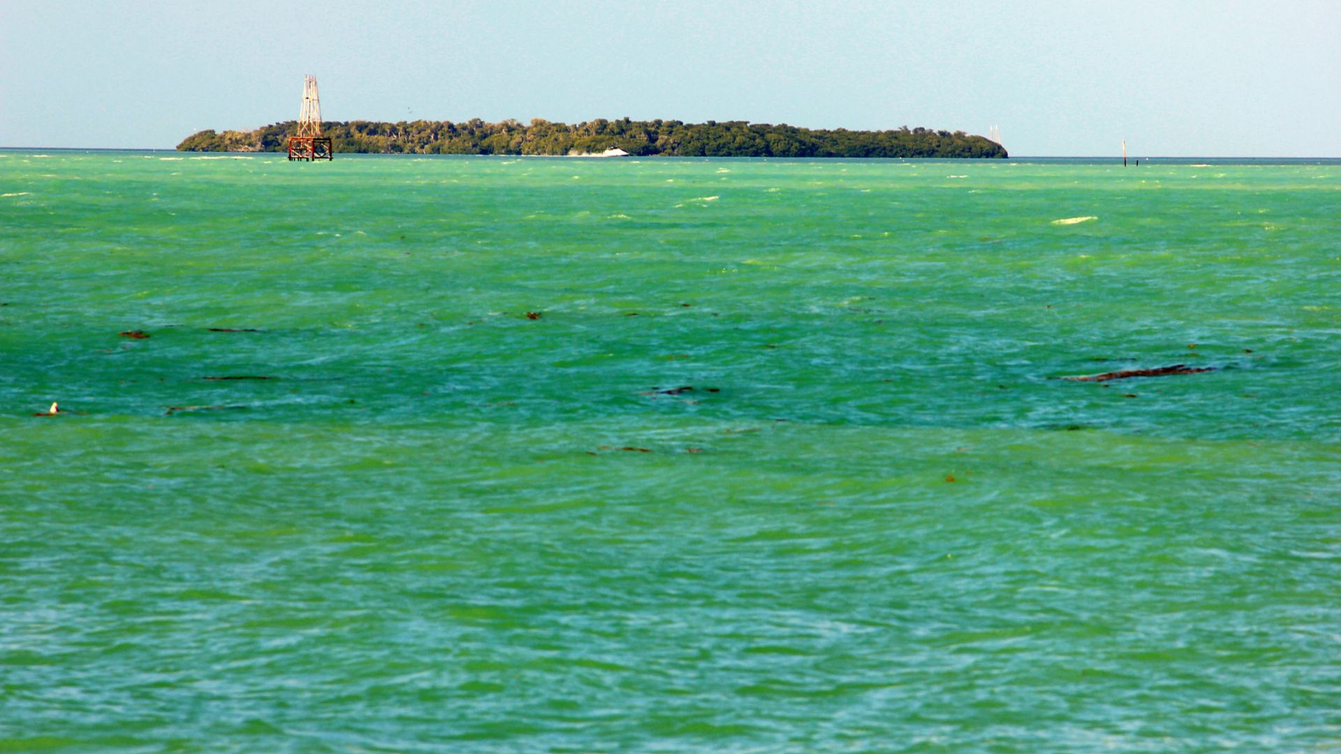 File:Gfp-florida-keys-key-west-blue-green-water.jpg