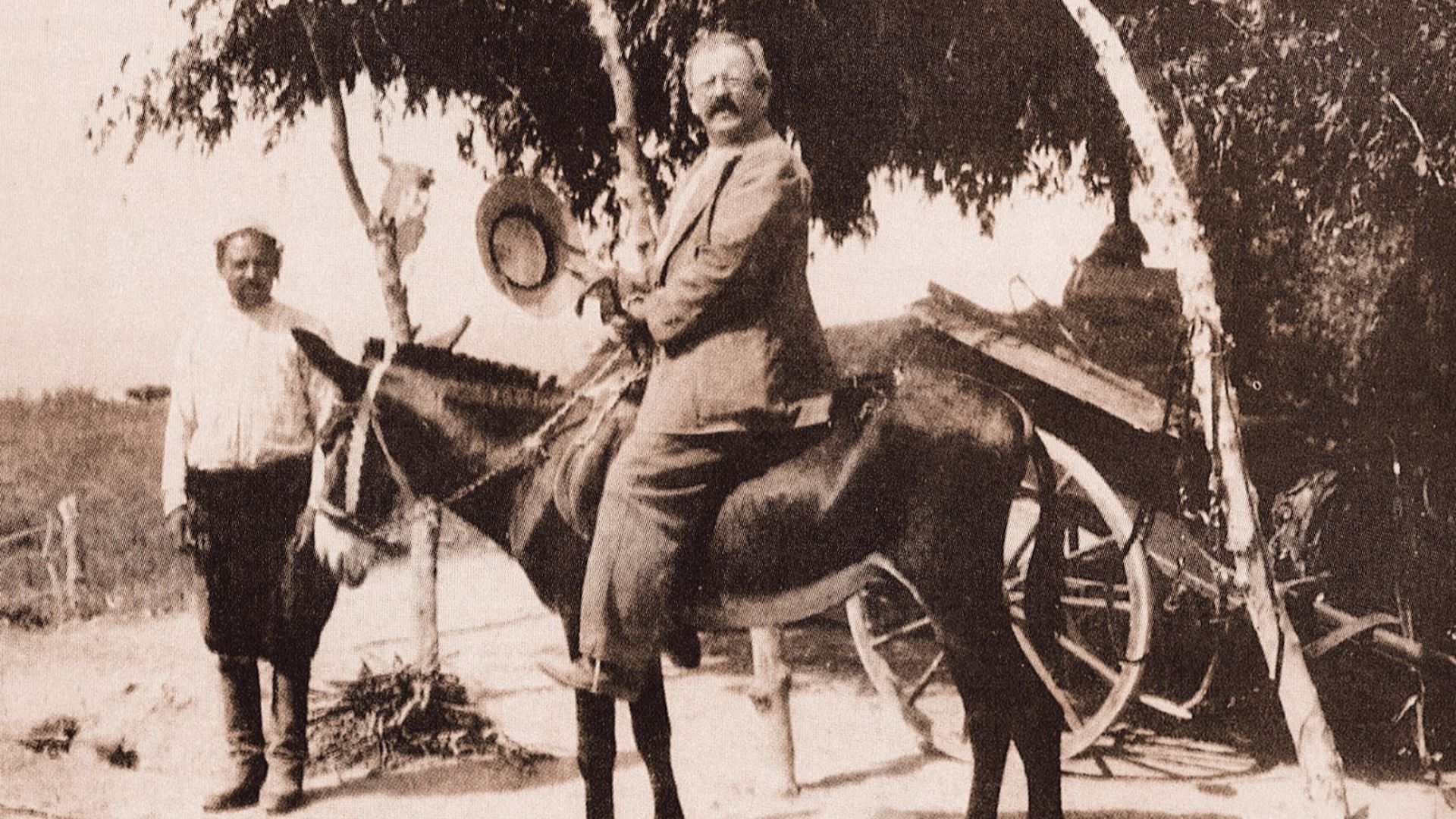 File:Max Ohnefalsch-Richter.jpg