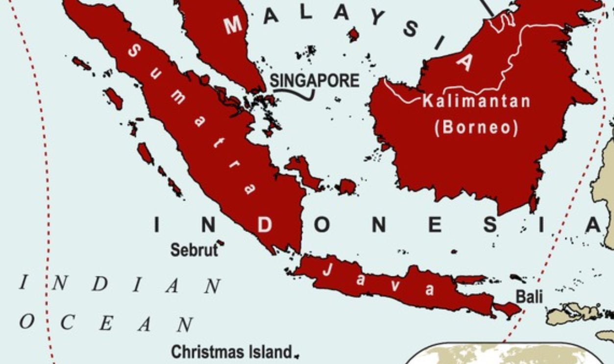 Forests And Grasslands