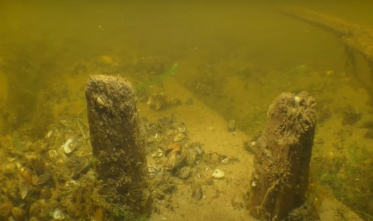 Preserved Fossils Beneath The Waves