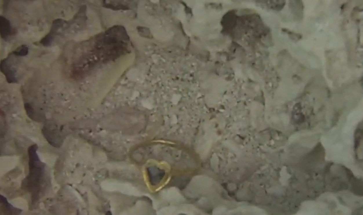 Treasure of Santa Margarita