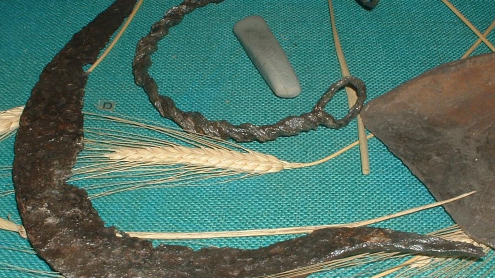 File:Iron sickle, torc and adze.JPG